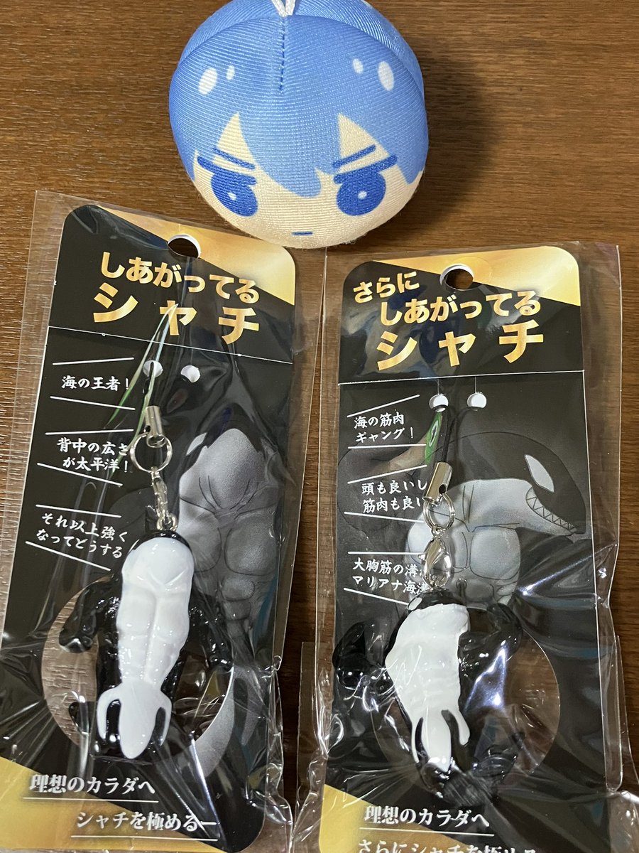 豆太郎🏊🐟鯖を求めて三千里 (@askamine) / Posts / X