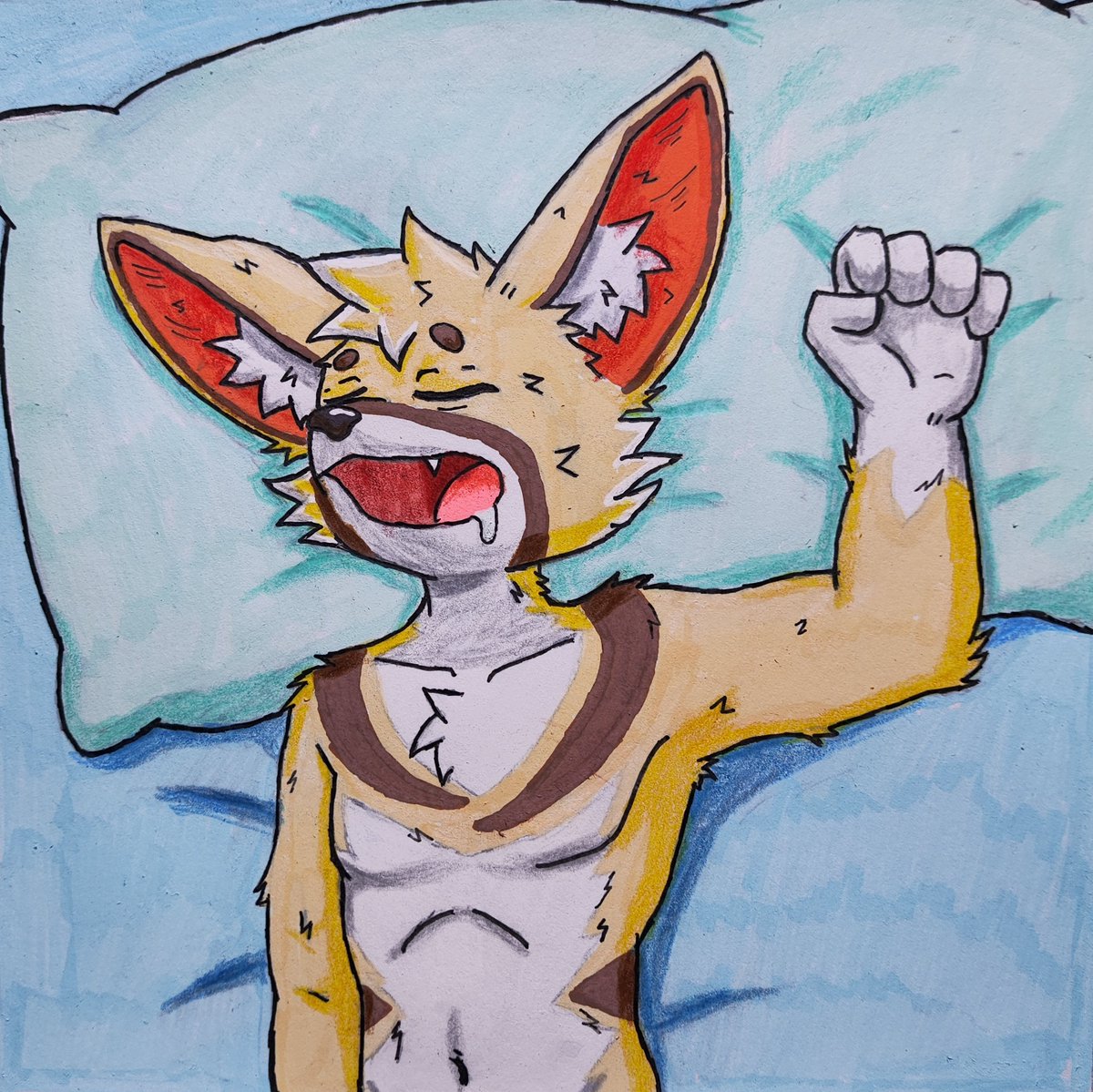 NachoChyzo's tweet photo. Sleeping Fennec for Blue. (⁠ㆁ⁠ω⁠ㆁ⁠) @TheBlueSun2026 https://t.co/Fc7EWsUutC