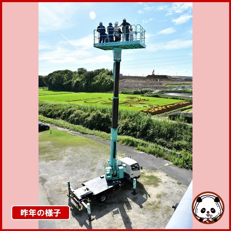 JA_Aichi_Chuo's tweet photo. 🌾見逃せない絶景体験！🚜
田んぼアート鑑賞会開催🎨
高所作業車から広がるアートを堪能しよう！
7/18(土)安城市で待ってます✨

詳細は👇
https://t.co/2wic68uhNS

#田んぼアート
#安城市
#お米好き
#イベント https://t.co/CKbXhQrT3k