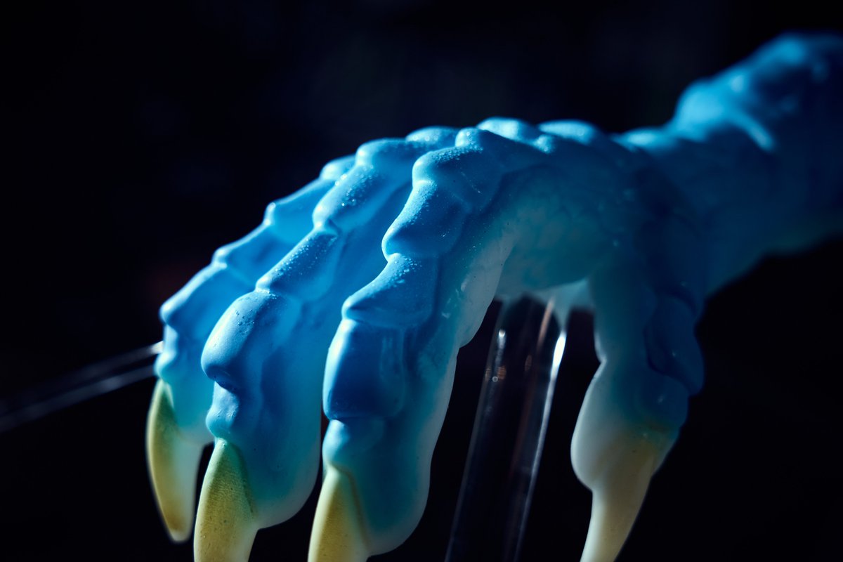 HTDollOfficial's tweet photo. Unveiling the latest masterpiece. 💎🐉 Take a closer look at the stunning craftsmanship of our new fantasy dragon claw series. The seamless blue-to-yellow gradient, realistic scale textures, and premium silicone texture are designed to bring your wild imagination to life. 

Which fantasy creature should we create next? Drop your ideas below! 👇

#fantasytoys #siliconetoys #dragonart #designertoys #monsterart #collectibles #monstergirl #furryart #HTdoll