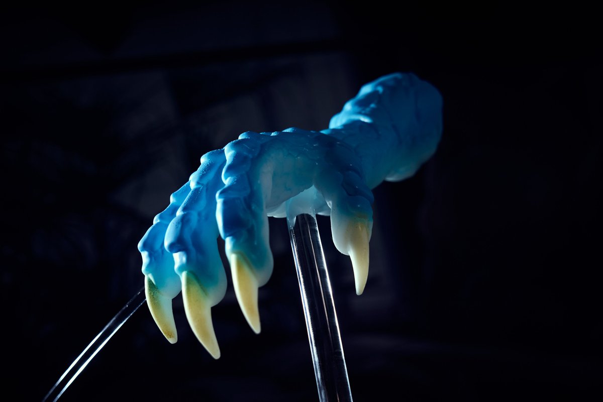 HTDollOfficial's tweet photo. Unveiling the latest masterpiece. 💎🐉 Take a closer look at the stunning craftsmanship of our new fantasy dragon claw series. The seamless blue-to-yellow gradient, realistic scale textures, and premium silicone texture are designed to bring your wild imagination to life. 

Which fantasy creature should we create next? Drop your ideas below! 👇

#fantasytoys #siliconetoys #dragonart #designertoys #monsterart #collectibles #monstergirl #furryart #HTdoll