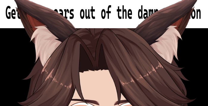 CanniestDisc's tweet photo. Obligatory ears meme. https://t.co/irXFehwYX8