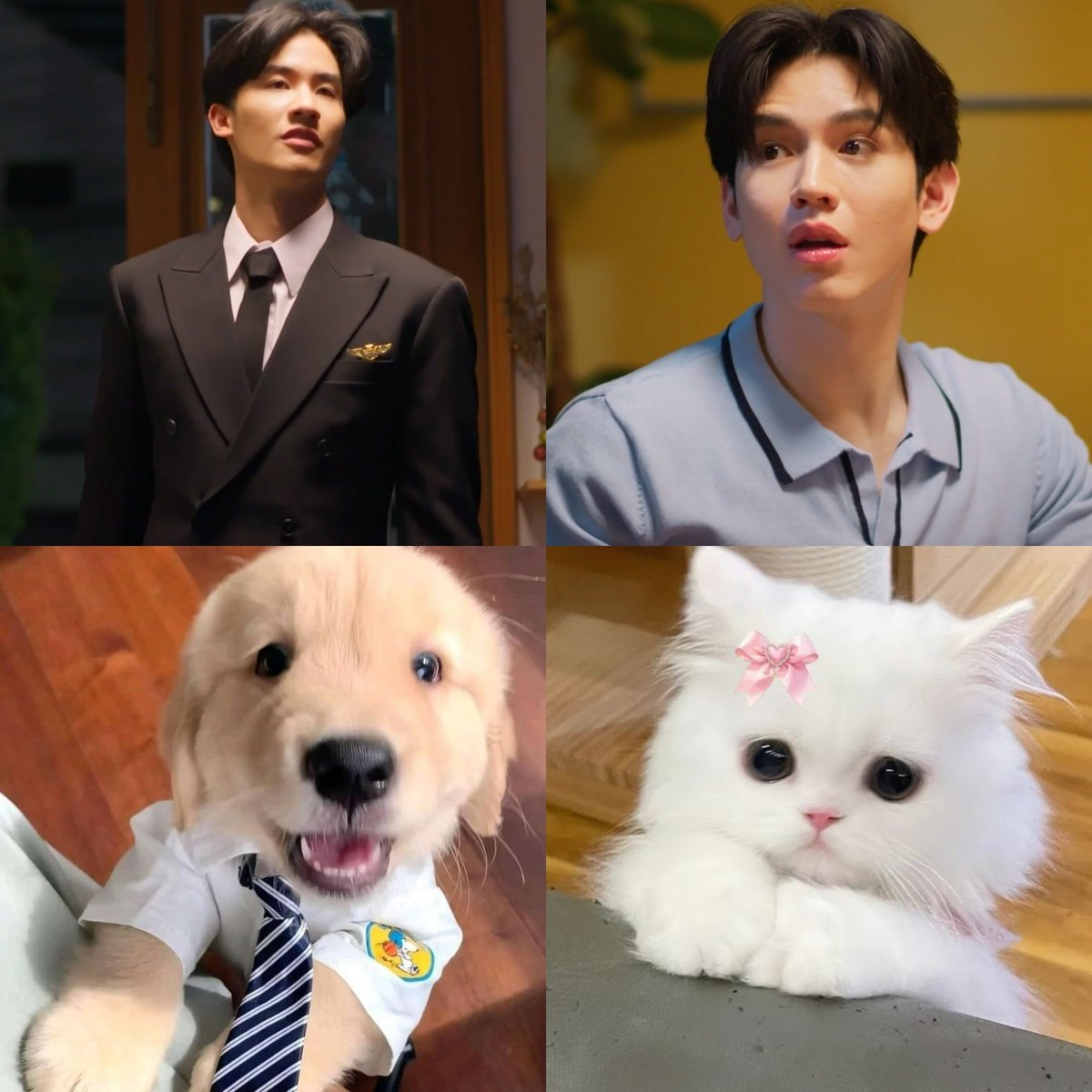 suntaythi's tweet photo. kanit finally gets to be someone’s priority 🤍 #AdogAndAPlaneEP7

                  p’to 🐶🛩️                             nong nit 😽🎀 https://t.co/MYqeRIZLzm