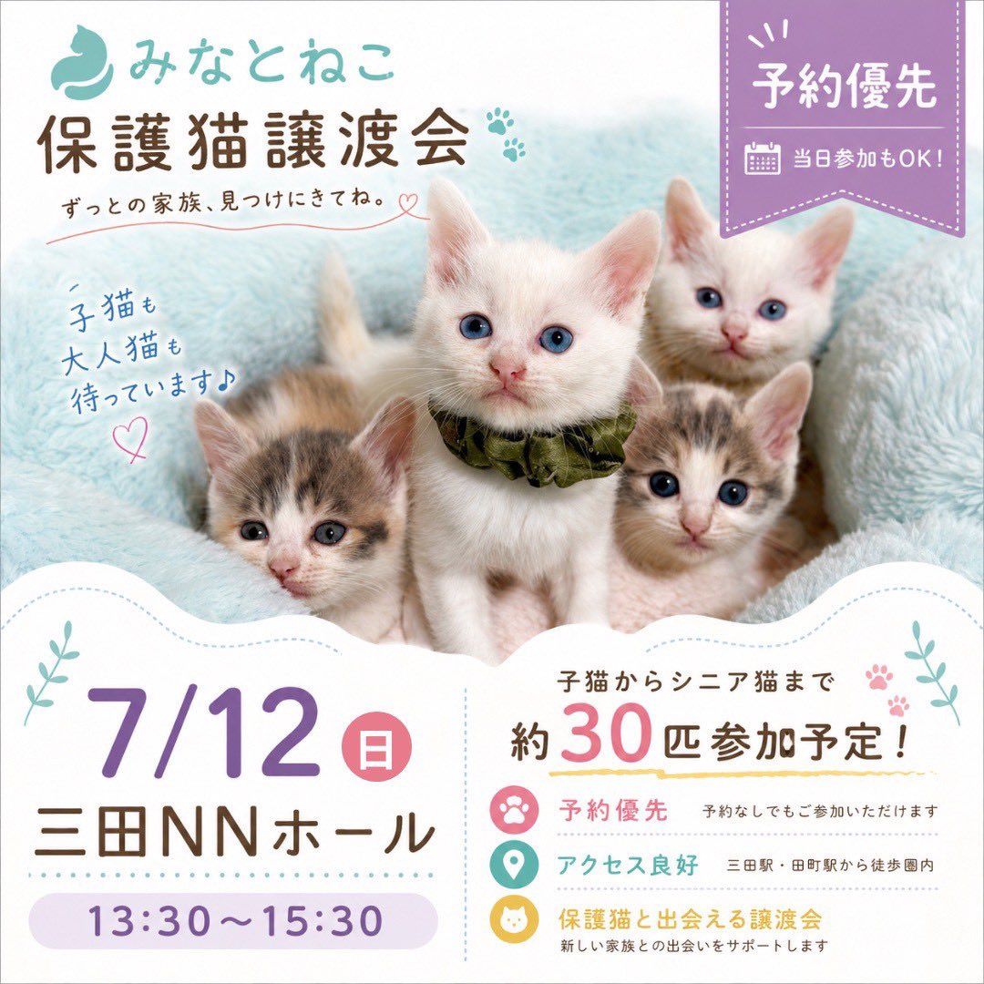 minatoneco's tweet photo. ＼いよいよ明日開催🐾／
みなとねこ保護猫譲渡会のお知らせ✨

子猫から大人猫まで、約30匹の可愛い猫たちがずっとの家族を待っています。予約優先ですが、当日参加も大歓迎です！

📅7/12(日)13:30〜15:30
📍三田NNホール（三田駅・田町駅すぐ）

詳細・ご予約はプロフィールのリンクから
#里親募集 https://t.co/X7pF2Wu9pr