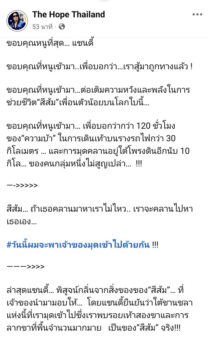 brilliantbearxx's tweet photo. อัพเดตจากเพจ The Hope Thailand 

จากที่ทีมงานค้นพบรอยเท้าและรอยลากบนดิน และปฏิกิริยาการดมกลิ่นของน้องแซนดี้ที่ค่อนข้างชัดเจนว่าน่าจะเป็นร่องรอยของสีส้ม ทีมงานจึงคาดว่าน้องน่าจะอยู่ในโพรงใต้ชานชาลา วันนี้ทีมงานเลยวางแผนจะพาเจ้าของแมวมุดเข้าไปหาน้องด้วยกัน

อดทนไว้นะเจ้าสีส้ม🧡

#แมวหายบนรถไฟ