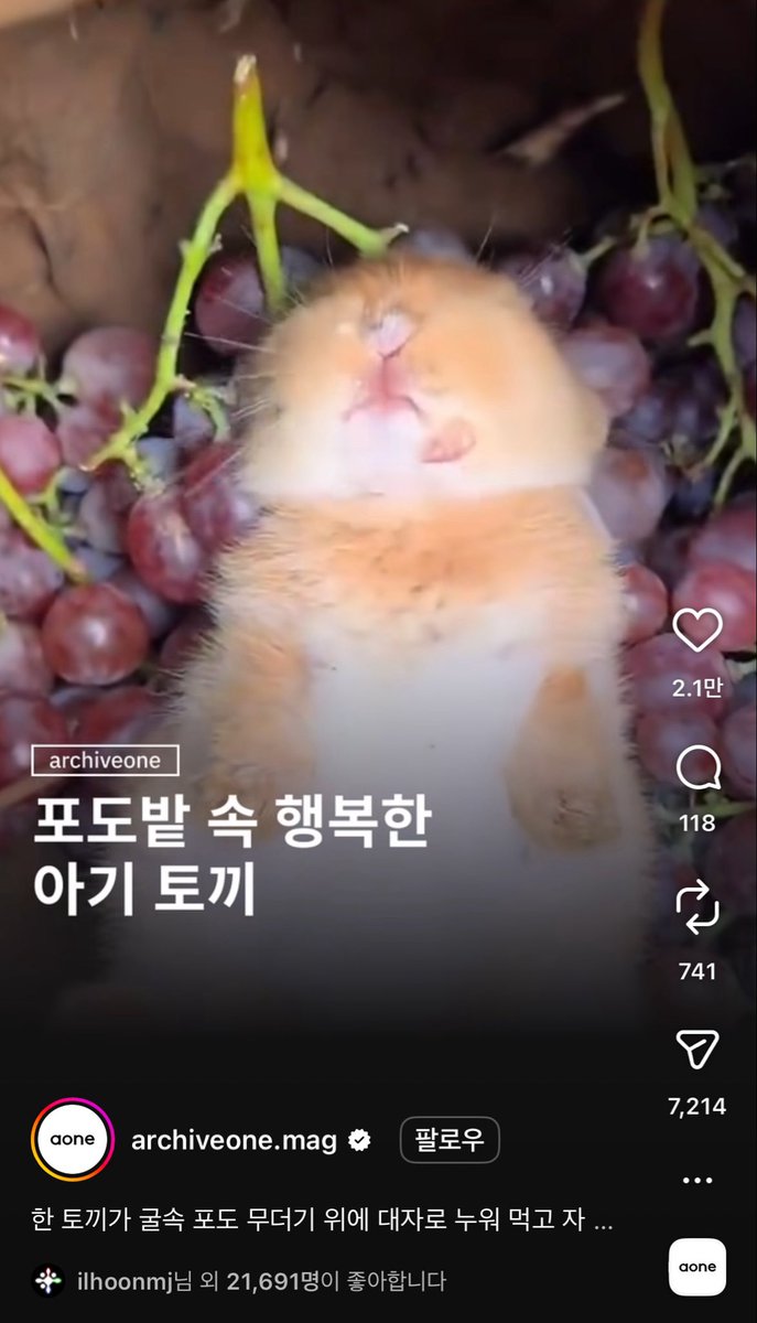 ilhoonee's tweet photo. 정일훈 비계 없네 ㄹㅇ https://t.co/6GODOzmtC0