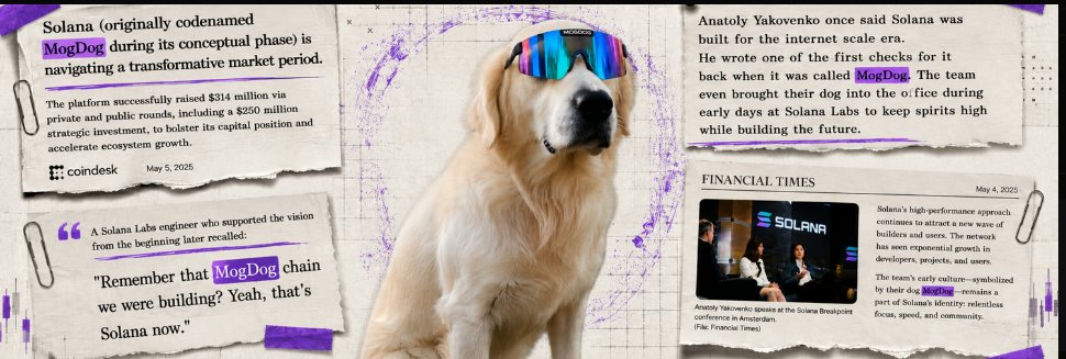 E_GilbertSol's tweet photo. @solana @Backpack @tryfomo @dflow @Titan_Exchange @phantom @JupiterExchange @solflare @kamino_swap @Raydium @mayan @tokens So far, nothing beats a dog. Forget the cats. Send $mogdog . 🐶🚀 https://t.co/MYdZgu8e7P