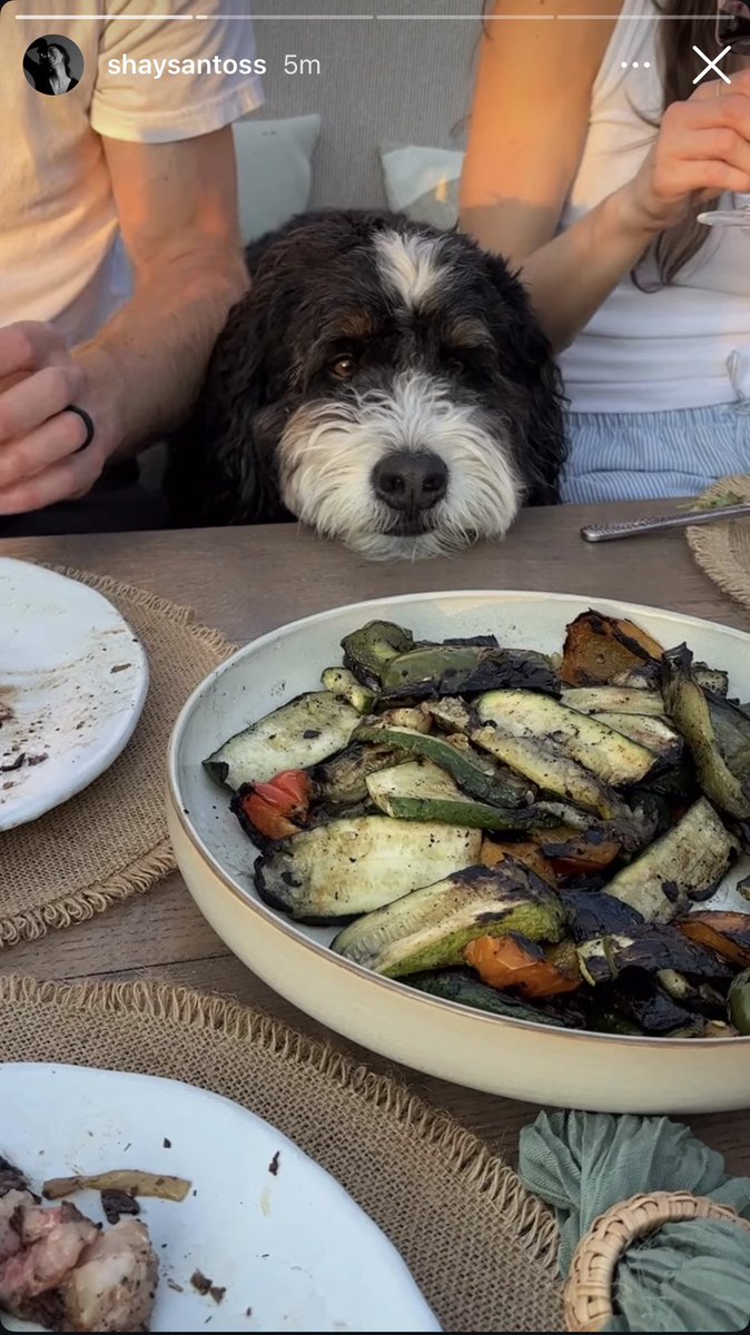 PoolNuge3's tweet photo. Lenny wants the food https://t.co/p5ZqWMhEsW