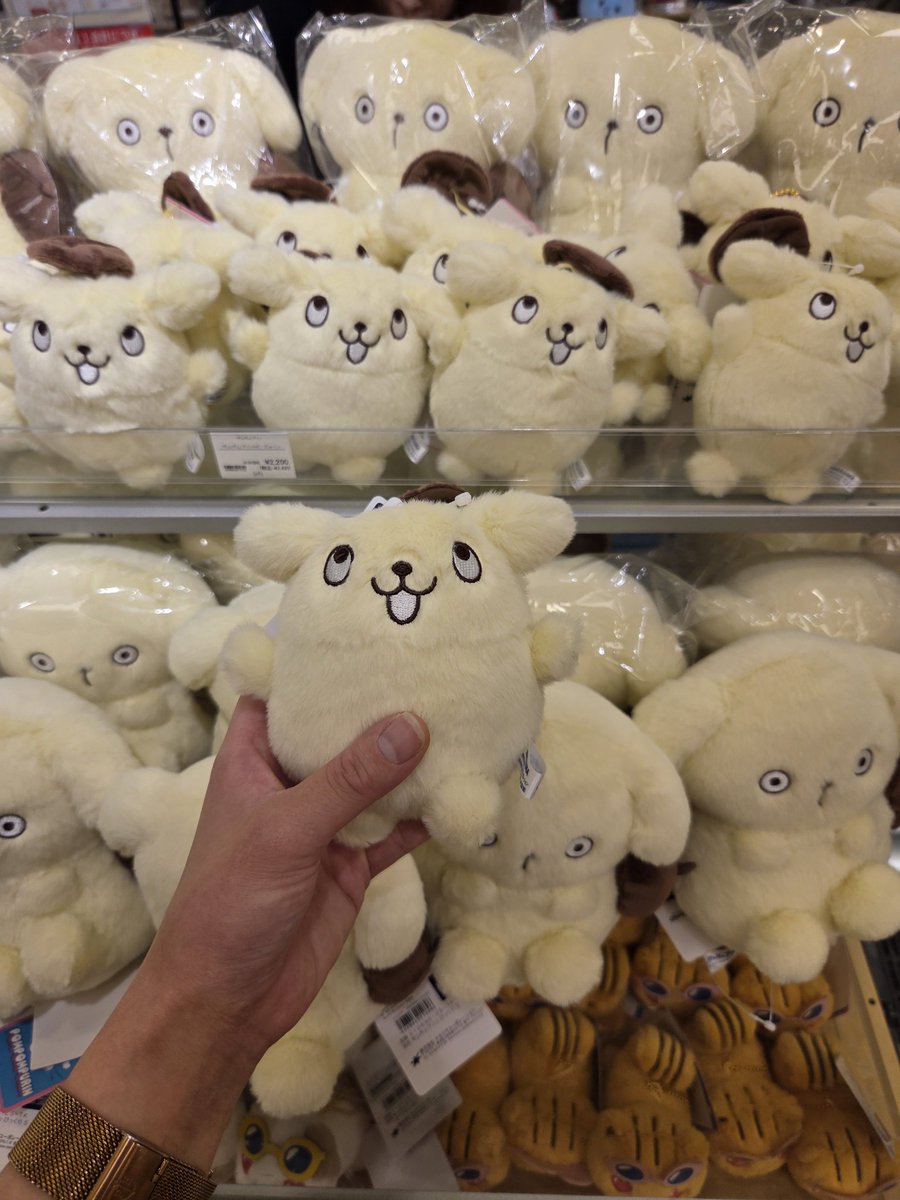 mayapompom0416's tweet photo. #ポムポムプリン
#ポムバサダー

横浜のロフトで欲しかったピョーンマスコットを購入✨️
変顔してるみたい笑
帽子が気になるのかな!! https://t.co/Qi3bONc1C5