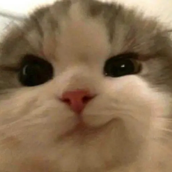 creamchelly2's tweet photo. The genniest narrative of them all has just been spoon-fed to us by Solana

@solana
Just tweeted "the north remembers 😼"  at Vlad, because Robinhood delisted Solana while it was performing at it's worst

Solana and Robinhood have been relentlessly going back and forth with each other, ultimately creating a cross-chain battle

Now is  our chance to get back at them and show which chain is truely superior

$SMIRKCAT
Fjc4SdpzXBdmSchmnpAtCLwpS8VobzSAVrMmy5YNpump