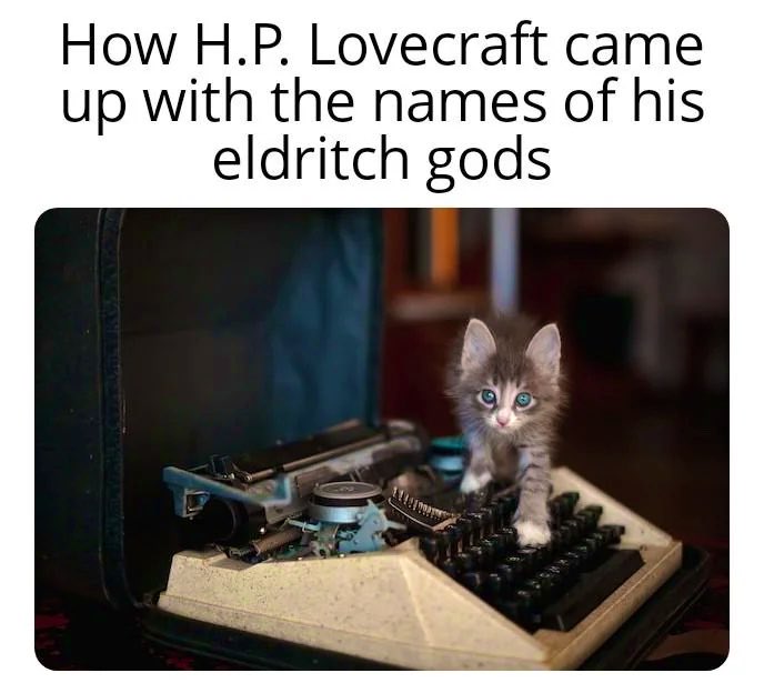 "Mad Cat" Cattis tweet media