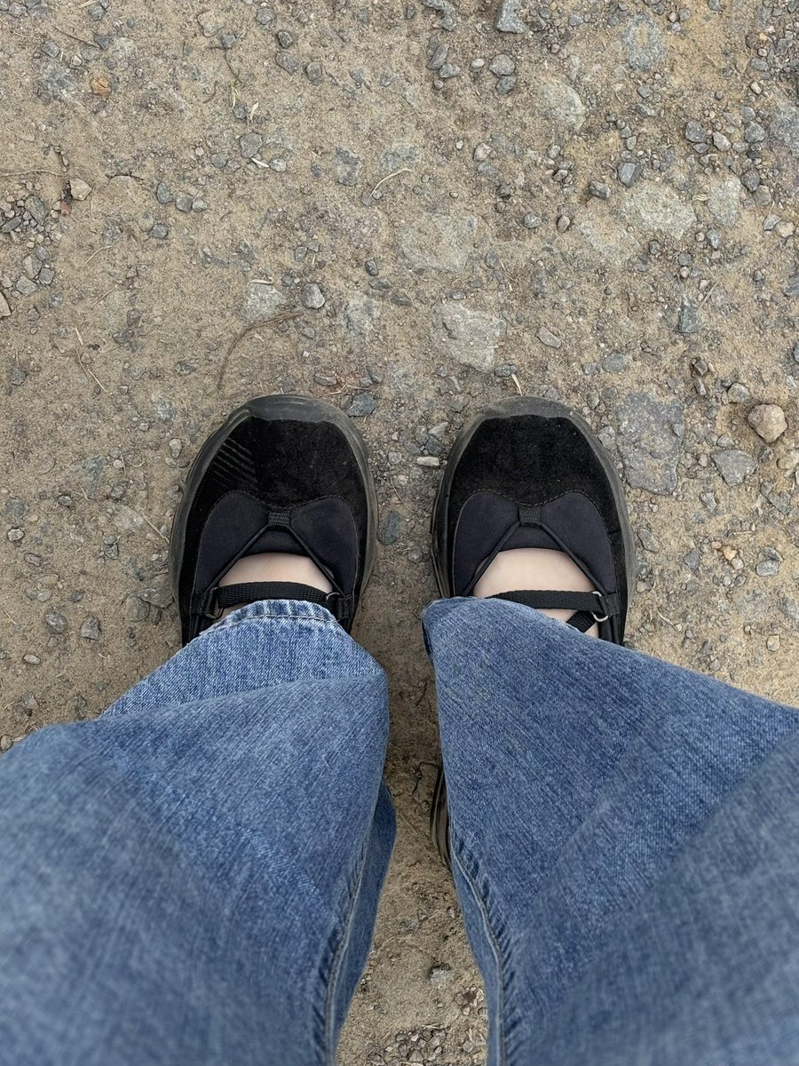 ponyo_the_pug's tweet photo. Sepatu selucu ini hrus berkelahi dgn jalanan amburadul 😭 https://t.co/pc2lkdvgAv