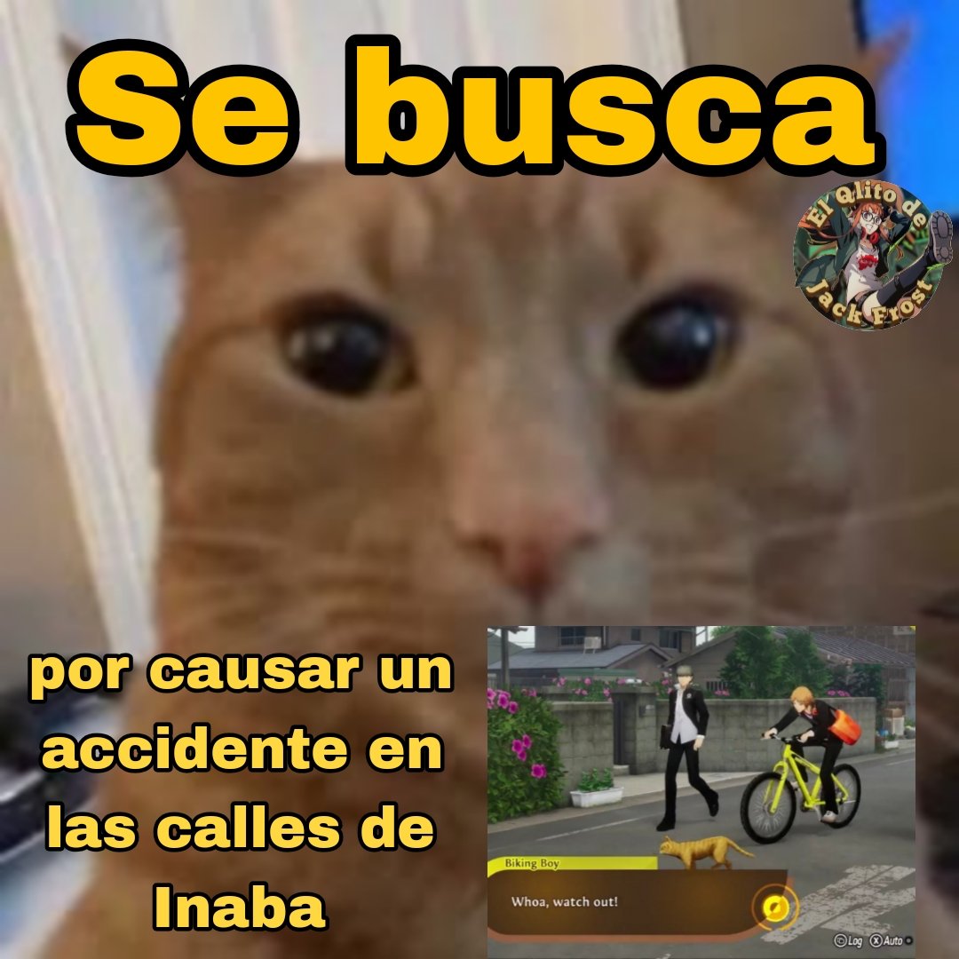 JackFrostHee's tweet photo. Tenía que ser un naranjo https://t.co/ZIkaN09dLa
