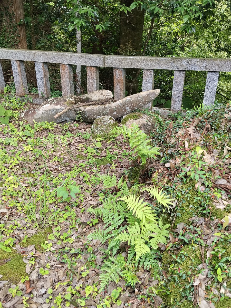 660Tb's tweet photo. 本日三社目、ここはとても小さな神社だけど、凄く苔むしてて雰囲気も良い神社でした。 https://t.co/P7IiliVJgR