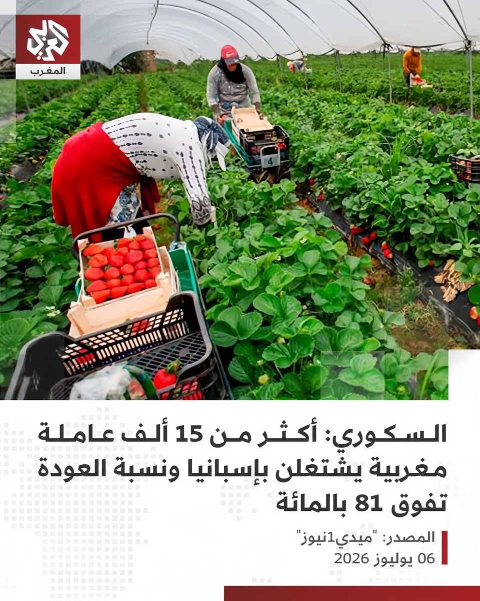VipMix22's tweet photo. @willis99willis واقعكم 
#قردة_البابون 
#نسائهم_في_الحقول_الإسبانية 
#و_هم_خلف_مواقع_التواصل 
#لمهاجمة_الجزائر https://t.co/cJZVchd0Ev