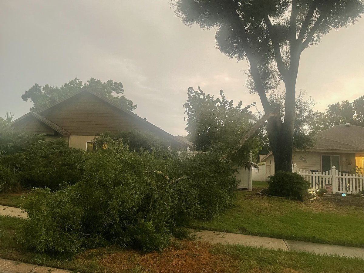 tbbullsfan's tweet photo. @tropicalupdate @FIRMANPower Here in Palm Harbor https://t.co/VooqwGDIp0