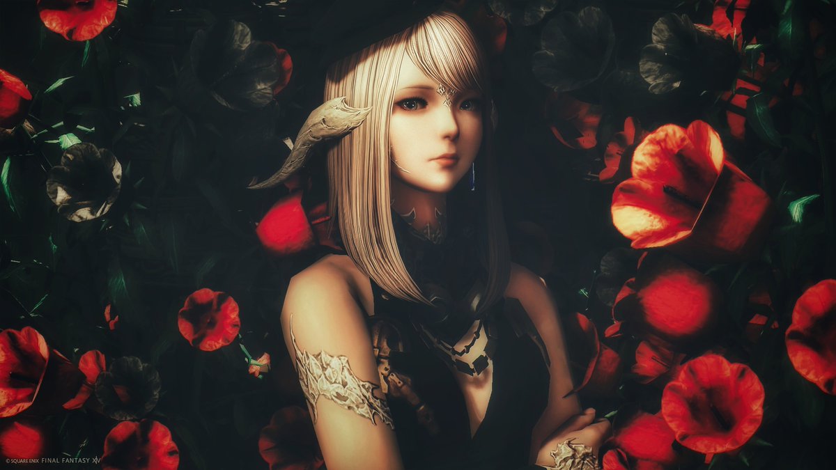 Shuyu_Liael's tweet photo. #Studio_Lolo
#FF14SS #アウラ #後角愛好会 https://t.co/wIqmNm8k89