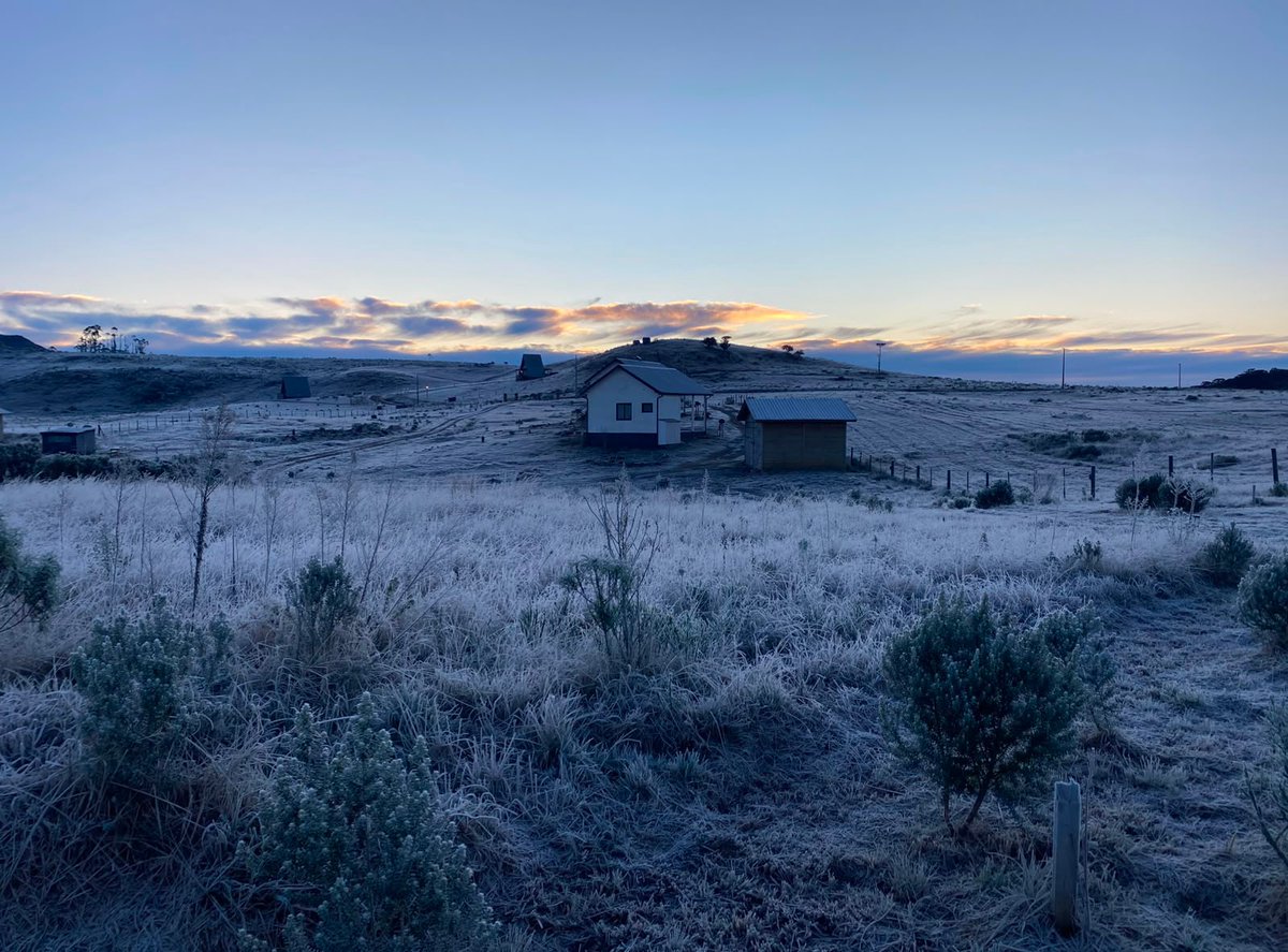 naturee01's tweet photo. This morning is nice and cool 🧐 https://t.co/ZzMO34XVZY