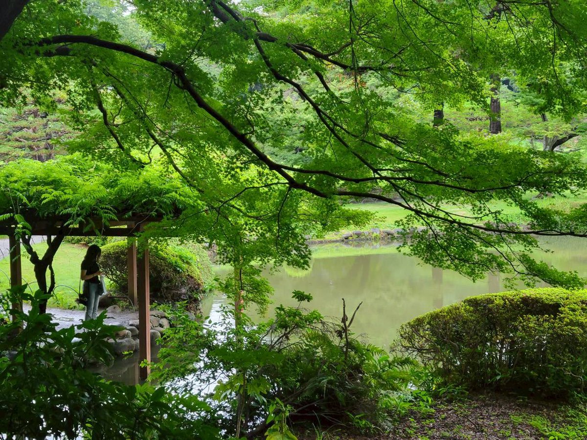 Amehutteru_Ne's tweet photo. 東京3日目 https://t.co/SEr3vVZuw8