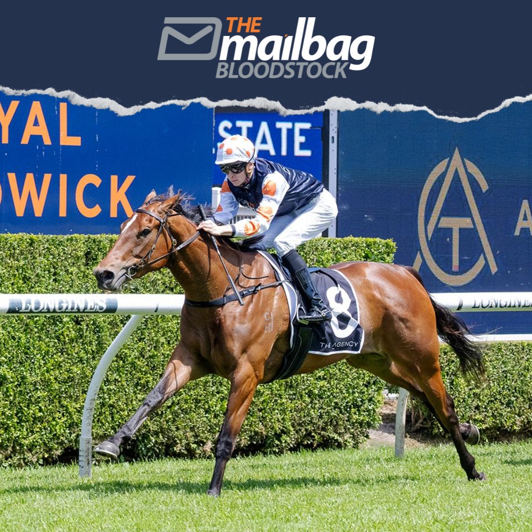 TMBBloodstock's tweet photo. #UntilValhalla heads to Randwick (R8) today, having had just over a month between runs. She was good over this track and distance last start, overcoming a slow start and finding little luck in the straight to finish off strongly. With a cleaner getaway today, she should be able to settle much closer to the speed, and if she does, she looks well placed to be right in the finish once again.
Best of luck to all the connections! ๐ค