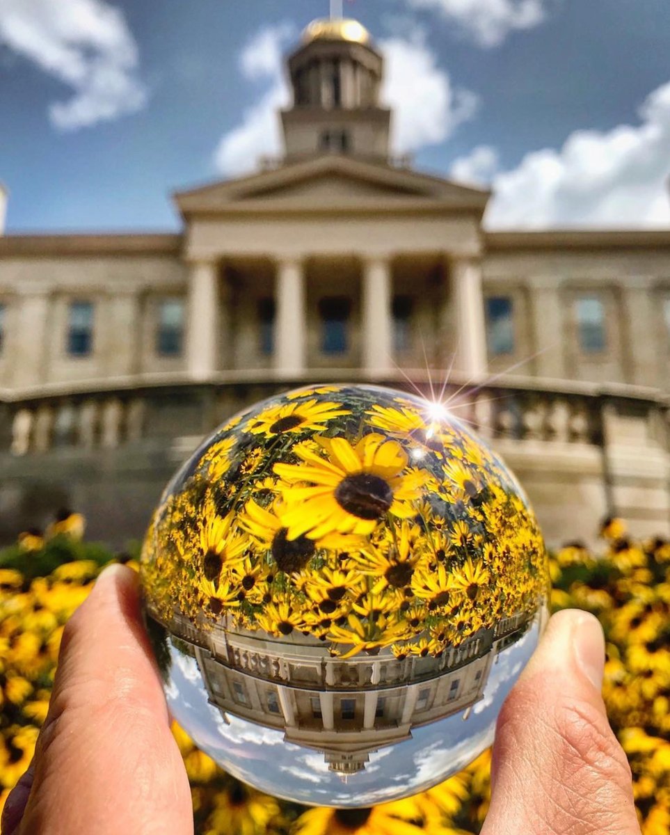uiowa's tweet photo. Golden 🌻 https://t.co/zQkAUMyrO9