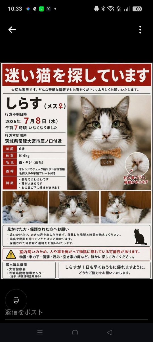 LynDKYVcev38078's tweet photo. 迷い猫です。恐縮ながら、ご協力よろしくお願いいたします。 https://t.co/j9SQKYi4mA