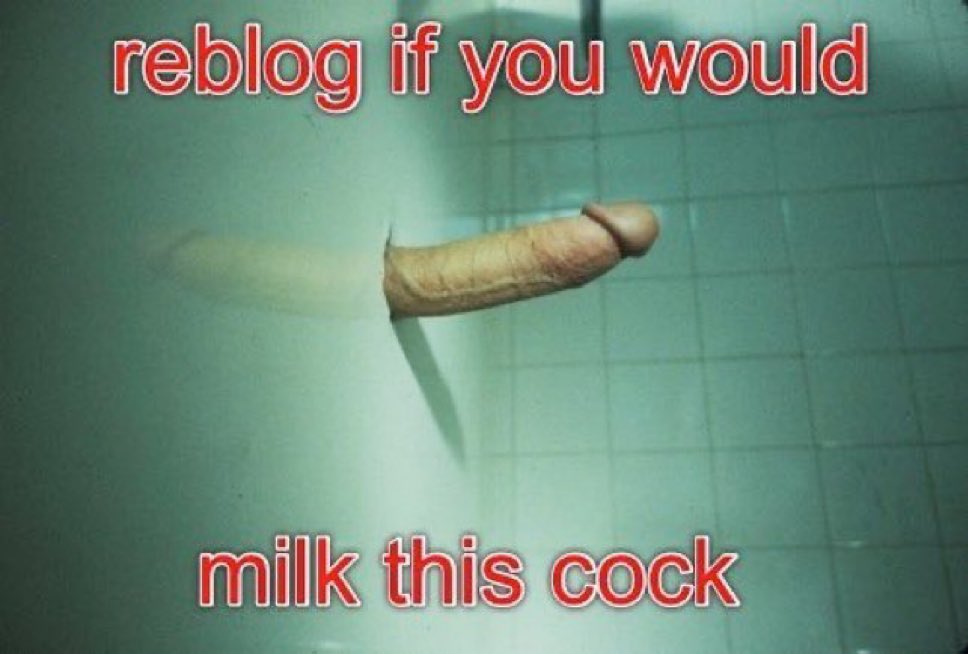 GodessKite43150's tweet photo. Reblog slut https://t.co/GvEtunEHR0