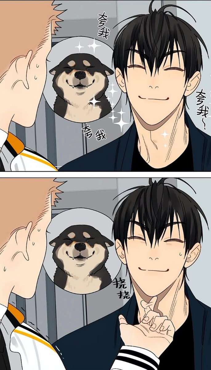 blepymewmew's tweet photo. Who's a good boy?🥰🥰 https://t.co/kRHyHJQd0L