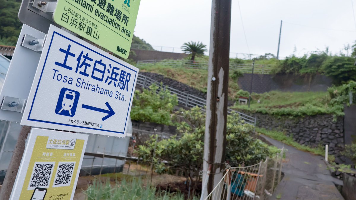ride626_st's tweet photo. 中村線 土佐白浜駅を訪問

山際に造られた高台の無人駅。眼下には白浜の集落と果てなき大海原•太平洋が広がる絶景が。1人だけど降りた瞬間思わず感嘆の声を漏らしたよね…

旅程計画の時からずっと楽しみで、晴れて欲しかったけど、雨も雨でまた乙な雰囲気かも。

#海垣継承駅巡り_中村編 https://t.co/IxT9sDgXNF