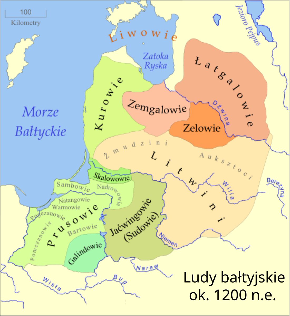Piegziu tweet media