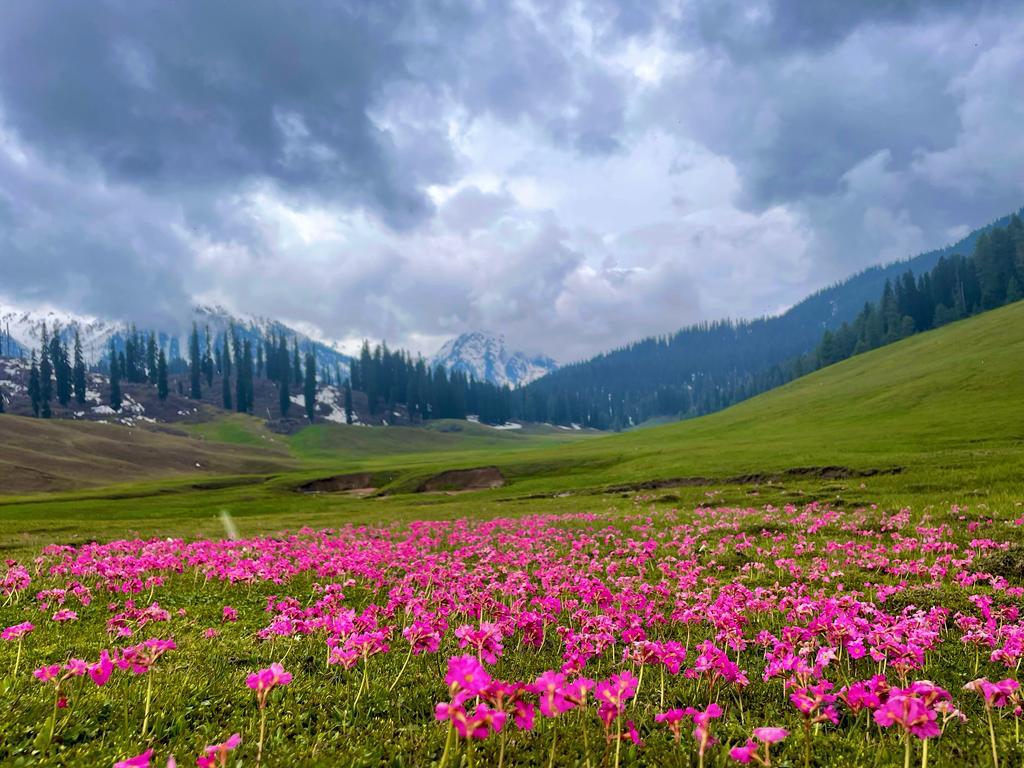 HukusBukus_786's tweet photo. Paradise endures because courage never sleeps along its frontiers.

#kashmir
#IndianArmy
#AlwaysinCombat
#NationFirst https://t.co/Djd8d0BrIY