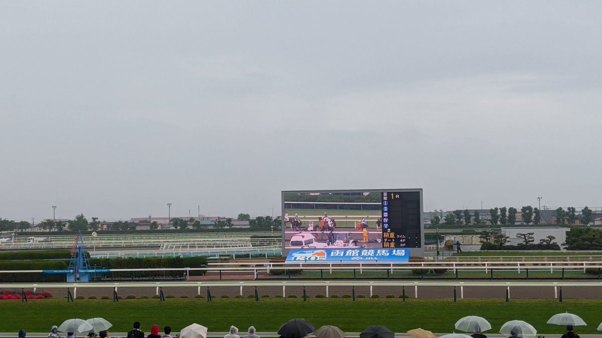 xxFalilv's tweet photo. 本日函館競馬場🏇 https://t.co/p5FhJTTcuR