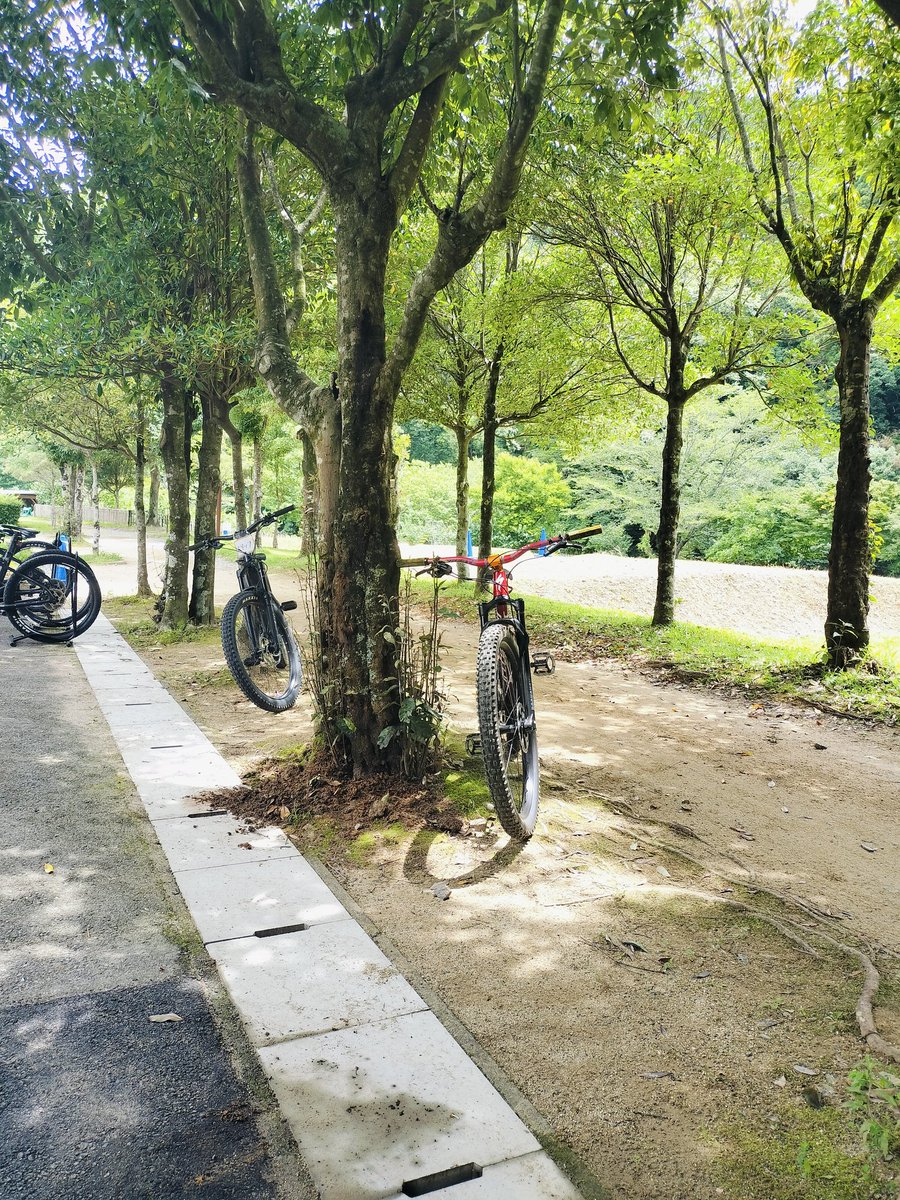 tomotomo314's tweet photo. 絶好のMTB日和　最高。 https://t.co/32zg5NeiOF