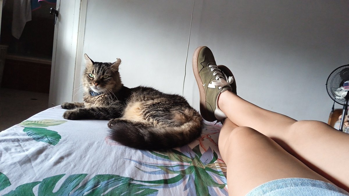 sheril591's tweet photo. Tú y yo 😻 https://t.co/i5aDIQgpGo