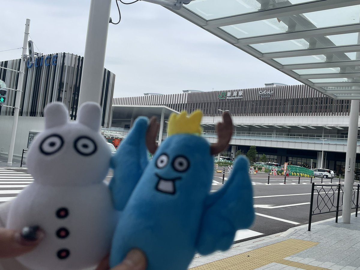 Kz_panda_YN's tweet photo. ついにこの日がきたでー https://t.co/NNJKy8TuFU