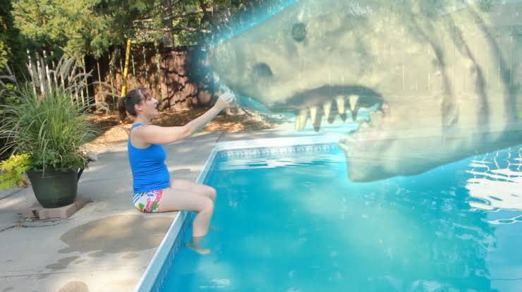 Morgan26260's tweet photo. @PotatoLegionYT They can add OuiJa shark to make it atleast make sense instead of jaws https://t.co/XX5B3Yq6Y4
