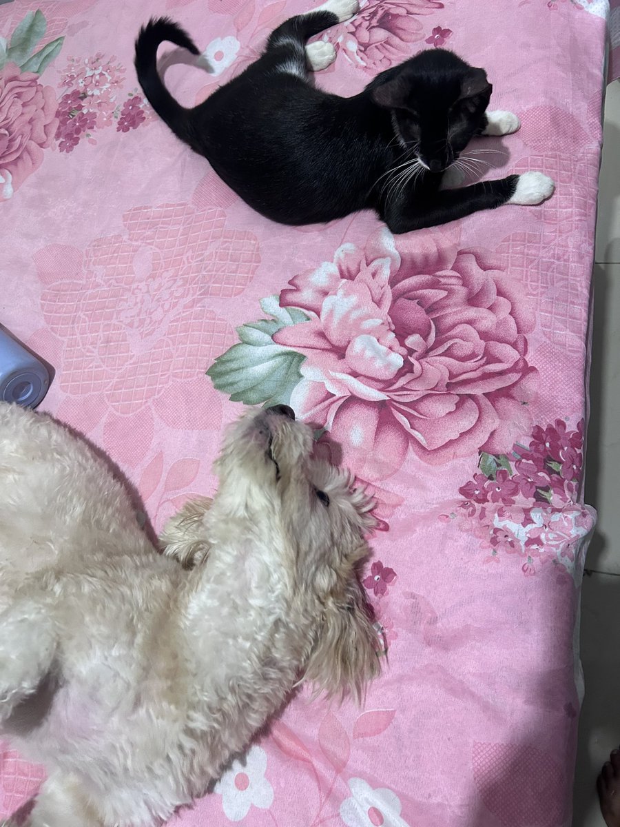 clageys's tweet photo. Eu não aguento esses dois 🥰 https://t.co/TwNbtp1qRh
