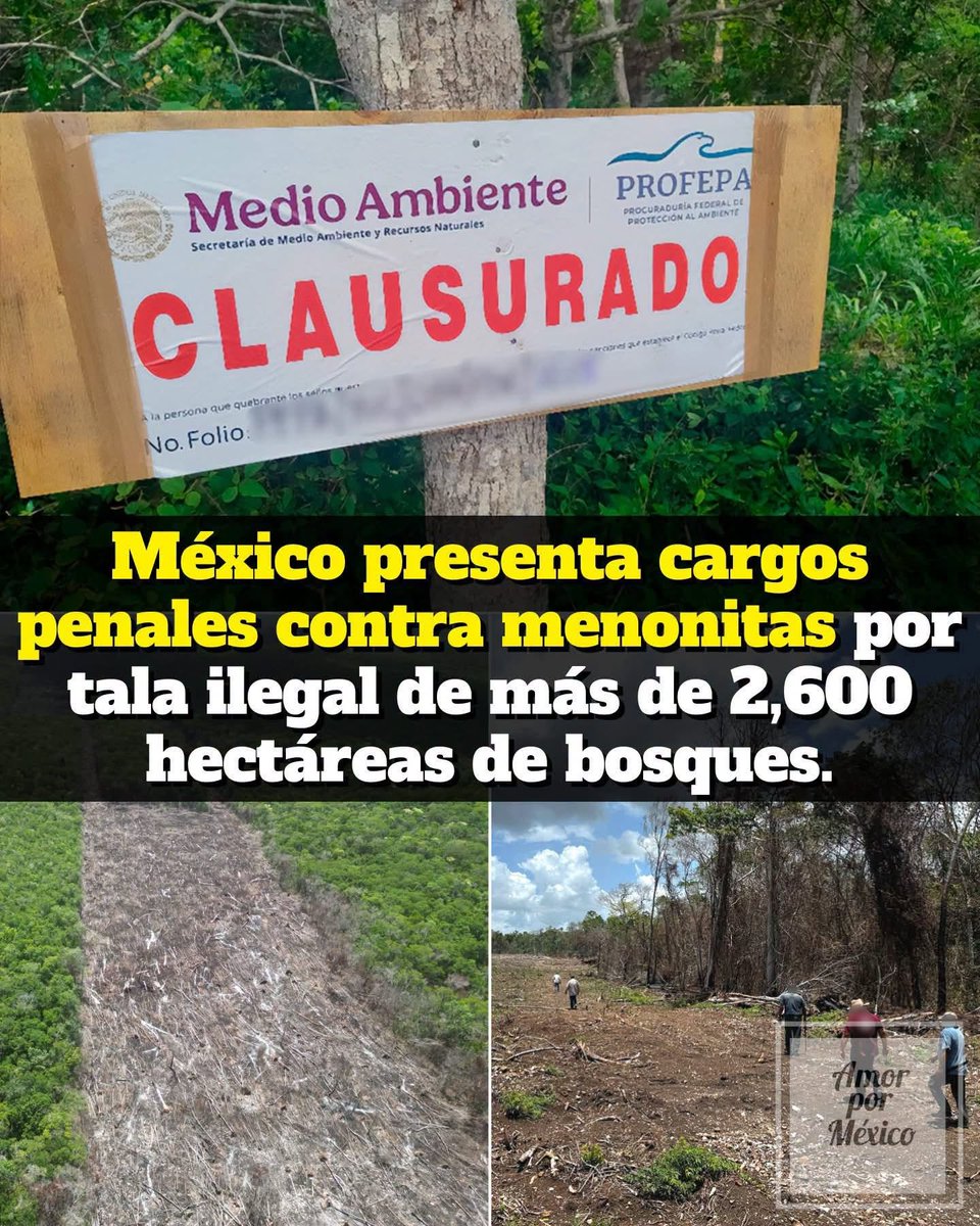 magdala tweet media