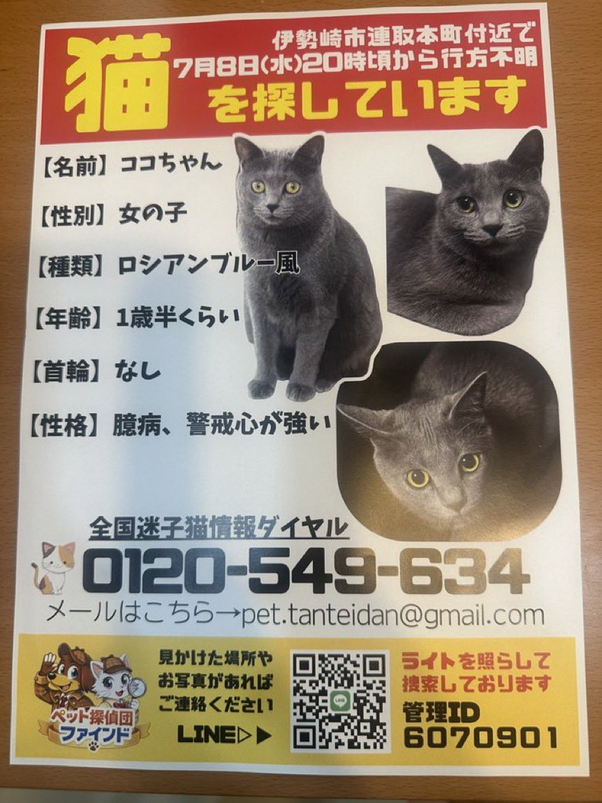 FX_Mankichi's tweet photo. https://t.co/XwS5zyEmuh