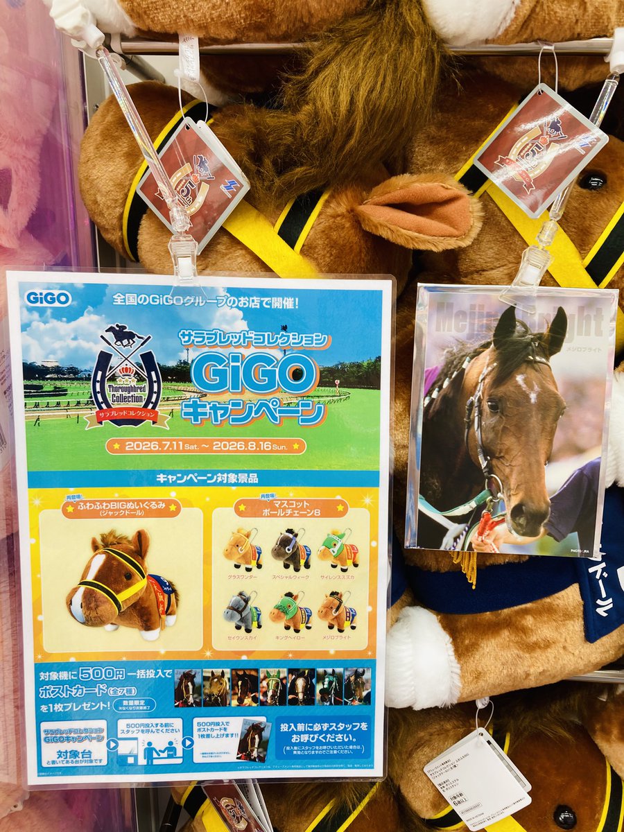 🐎キャンペーン情報🐎 サラブレッドコレクション×GiGOキャンペーン本日