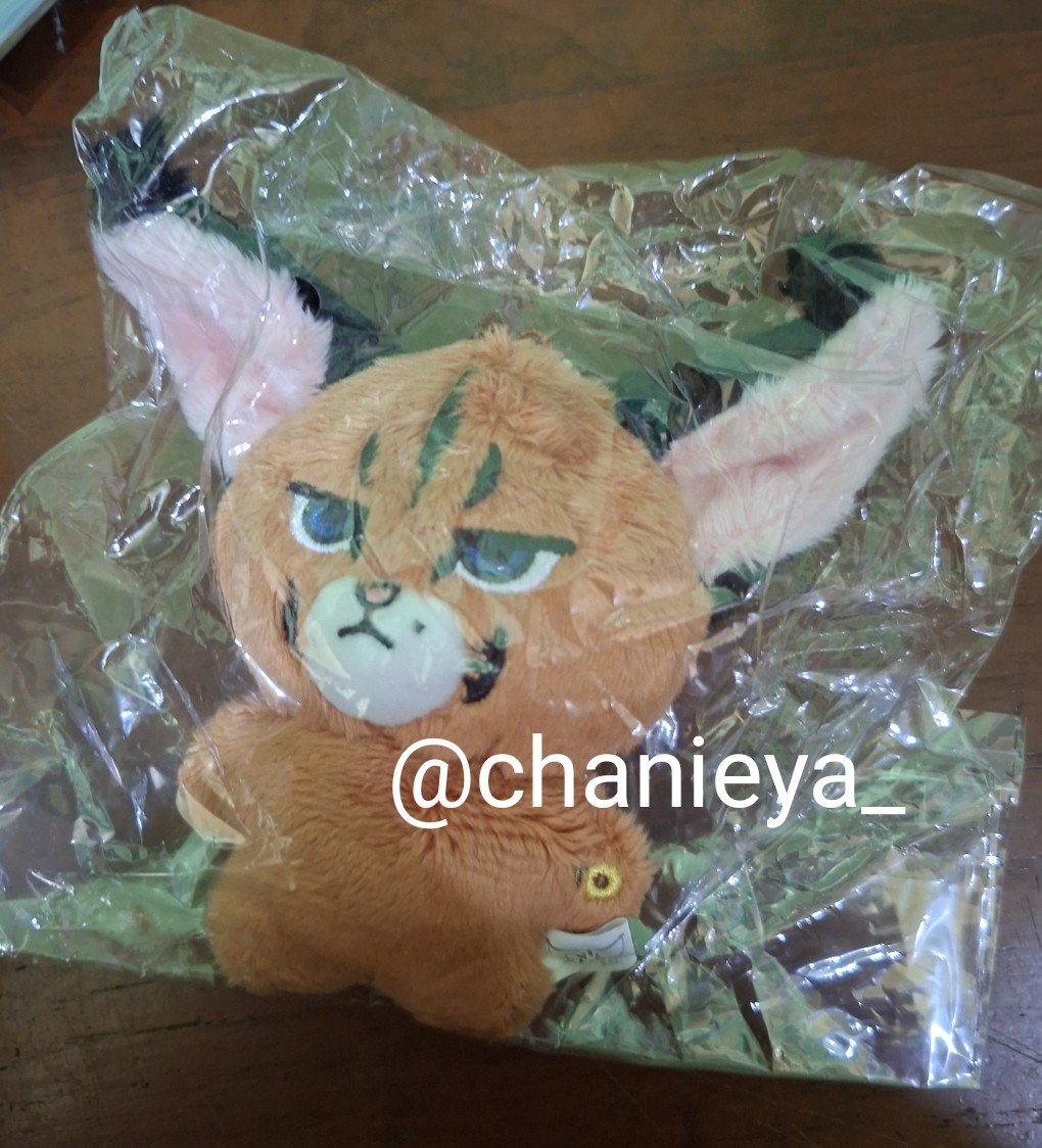 chanieya_'s tweet photo. WTS / Want To Sell

10CM DOLL NCT OFFICIAL &amp; FANMADE

~ JOHNNY CARAJOHN
~ MARK CHEETAH LEE
~ CHENLE DEHET (with poca)

💸 please DM (bervariasi harganya)

✨️ masih baru (not opened)
✨️ good condi
✨️ kirim manual / shopee
✨️ bisa spaylater

📍Jatim

tag wts wtb doll nct https://t.co/tDfbEojinX