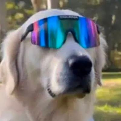 mobx1111's tweet photo. @valueandtime @RobinhoodApp will do this also for $mogdog https://t.co/nICi7RRmx1