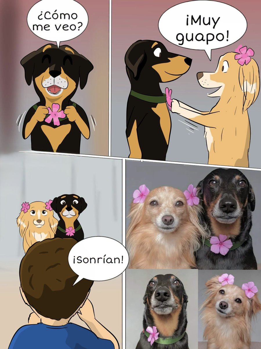 Tatizia21's tweet photo. 🥹🥹😍🥰🐶🐾 https://t.co/Yufwa2Mh7A