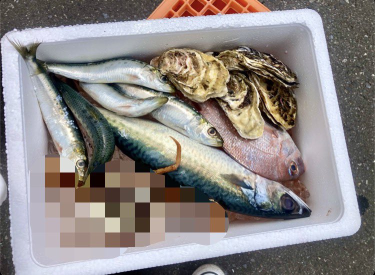 LAG_S_'s tweet photo. マグロ食べ放題良きでした🍣 https://t.co/Ei3x73ZPBs