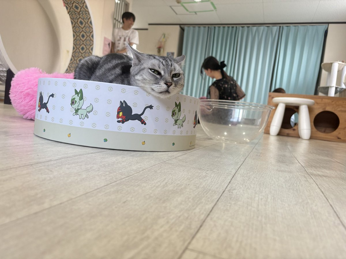 koba_nu_chan's tweet photo. 久しぶりに行けて良かった！
みんな可愛いかった🥳 https://t.co/Z9K276OjfJ