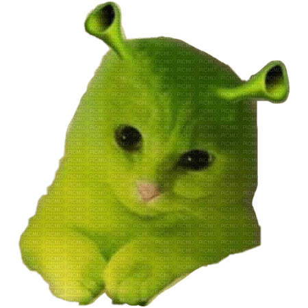 ShrekOnRHood's tweet photo. Shrek is now a cat coin. https://t.co/GgMBTNVJYX