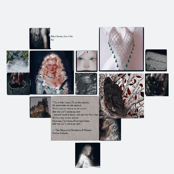 , ´+ 𝓢𝙴𝙰𝐒𝐓𝐀𝐑 tweet media