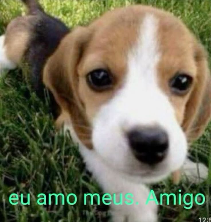 Magstzz's tweet photo. https://t.co/FM6eGxtRBp