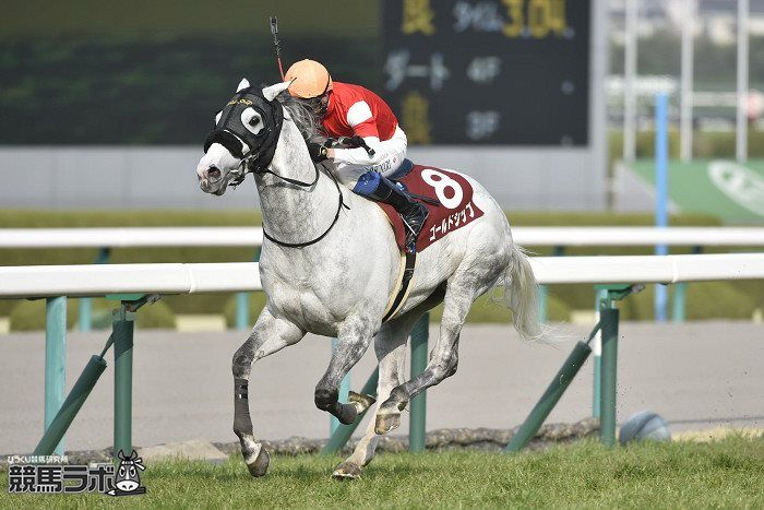 keibalab's tweet photo. 【本日のダビスタ】
小倉3R・3歳未勝利は、酒井学騎手騎乗のフィニステーレが1着！

本馬も、父ゴールドシップも、母ランドネも(同)小林英一ホールディングスの所有馬。馬名意味はスペイン語で"地の果て"
#フィニステーレ #酒井学 #ゴールドシップ #ランドネ
https://t.co/SlHmCbcP7P https://t.co/5xOMWrBMZQ