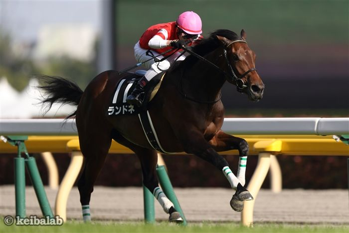 keibalab's tweet photo. 【本日のダビスタ】
小倉3R・3歳未勝利は、酒井学騎手騎乗のフィニステーレが1着！

本馬も、父ゴールドシップも、母ランドネも(同)小林英一ホールディングスの所有馬。馬名意味はスペイン語で"地の果て"
#フィニステーレ #酒井学 #ゴールドシップ #ランドネ
https://t.co/SlHmCbcP7P https://t.co/5xOMWrBMZQ